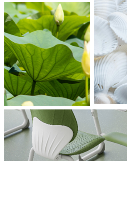 Zhejiang Huimei Industry & Trade Co., Ltd.